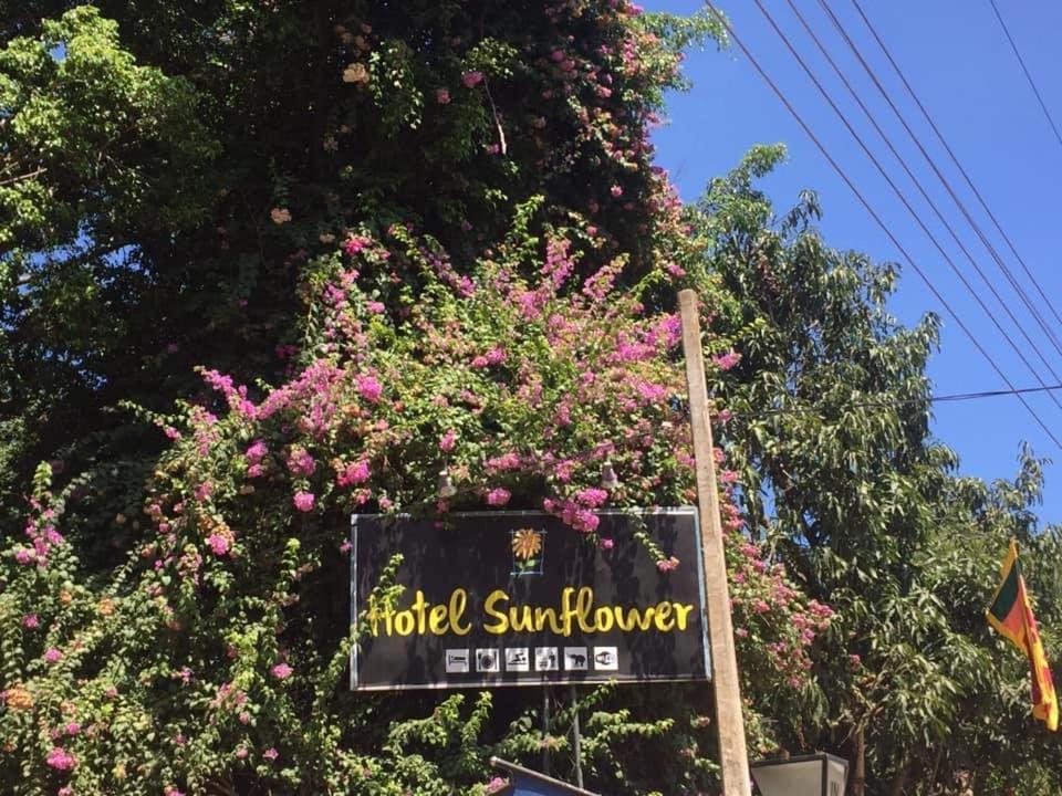 Hotel Sunflower Kataragama Kültér fotó